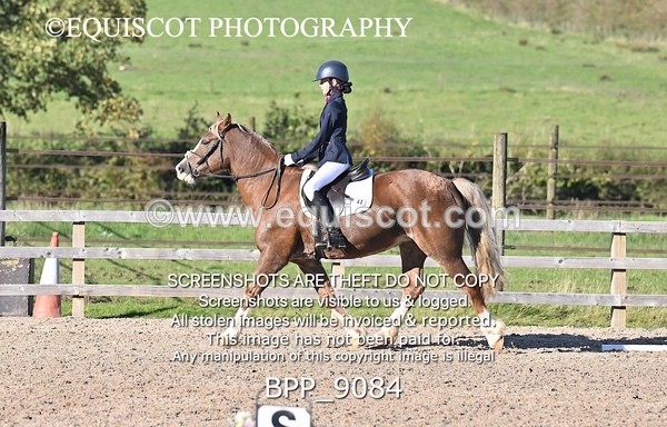 BPP_9084 - SHORT ARENA INTRO 3