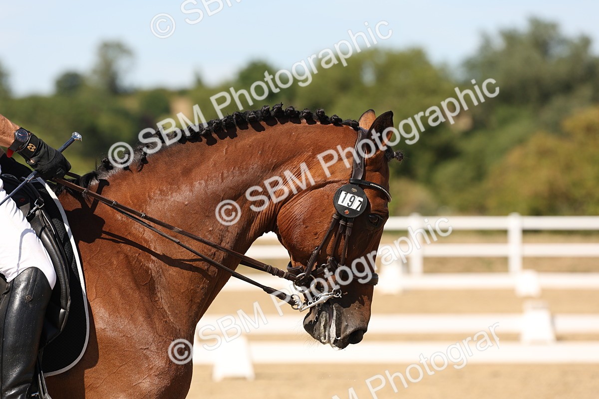 SBM_003743 - Elementary 4