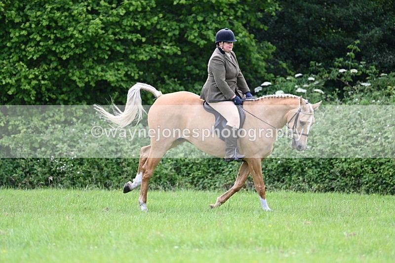 WJ7_2465 - Class 12A Coloured Class