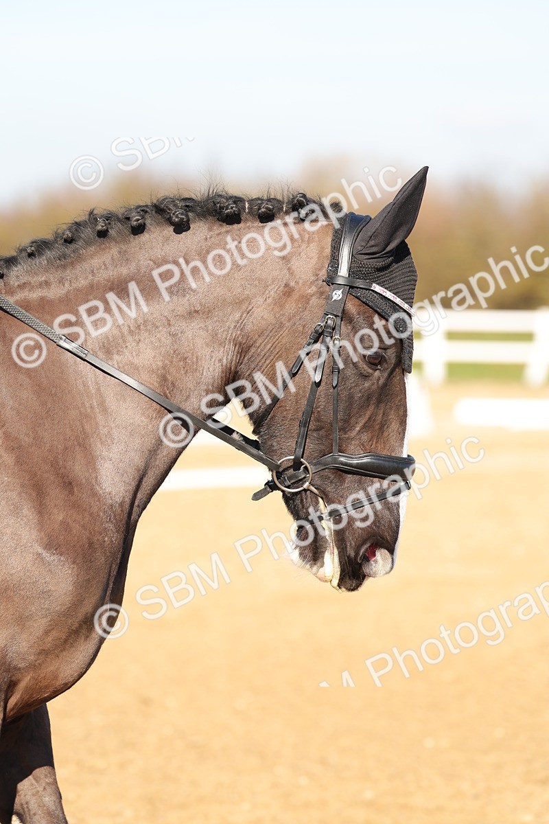 SBM_001493 - Class 2 - P1-70cm