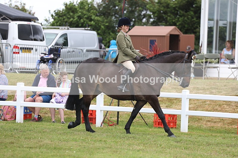 3E7A1343 - Class 9: Open Hunter