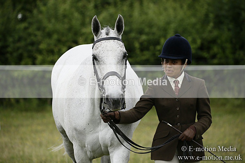 BVR160717-213 - Ring 2 BVRC Show 16/07/17