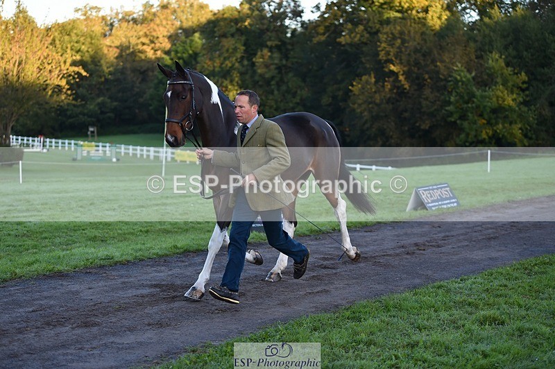 231022-083530-21245 - 640-UP.TO.MISCHIEF-Will.van.Ufford-TrotUp+SJ