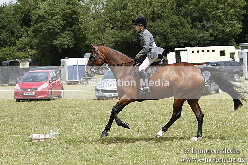 BVR160717-1819 - Ring 3 BVRC Show 16/07/17