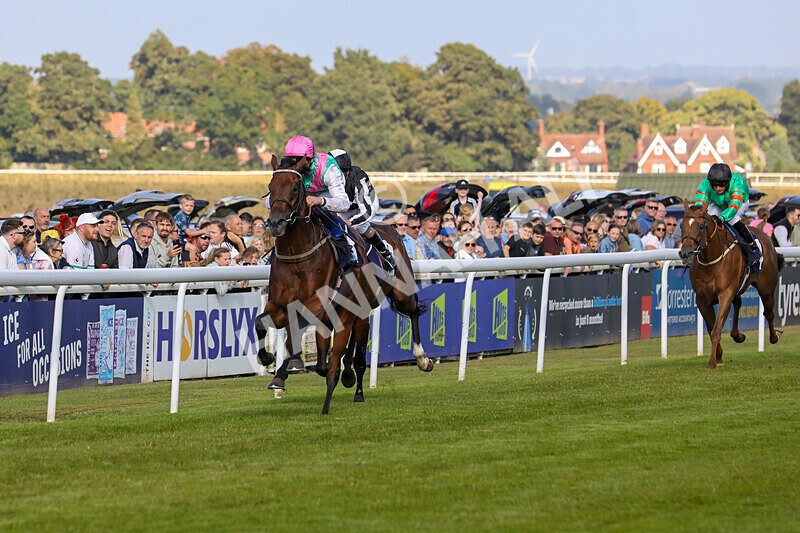 310824-Race 6-Amphius-1937 - Race 6