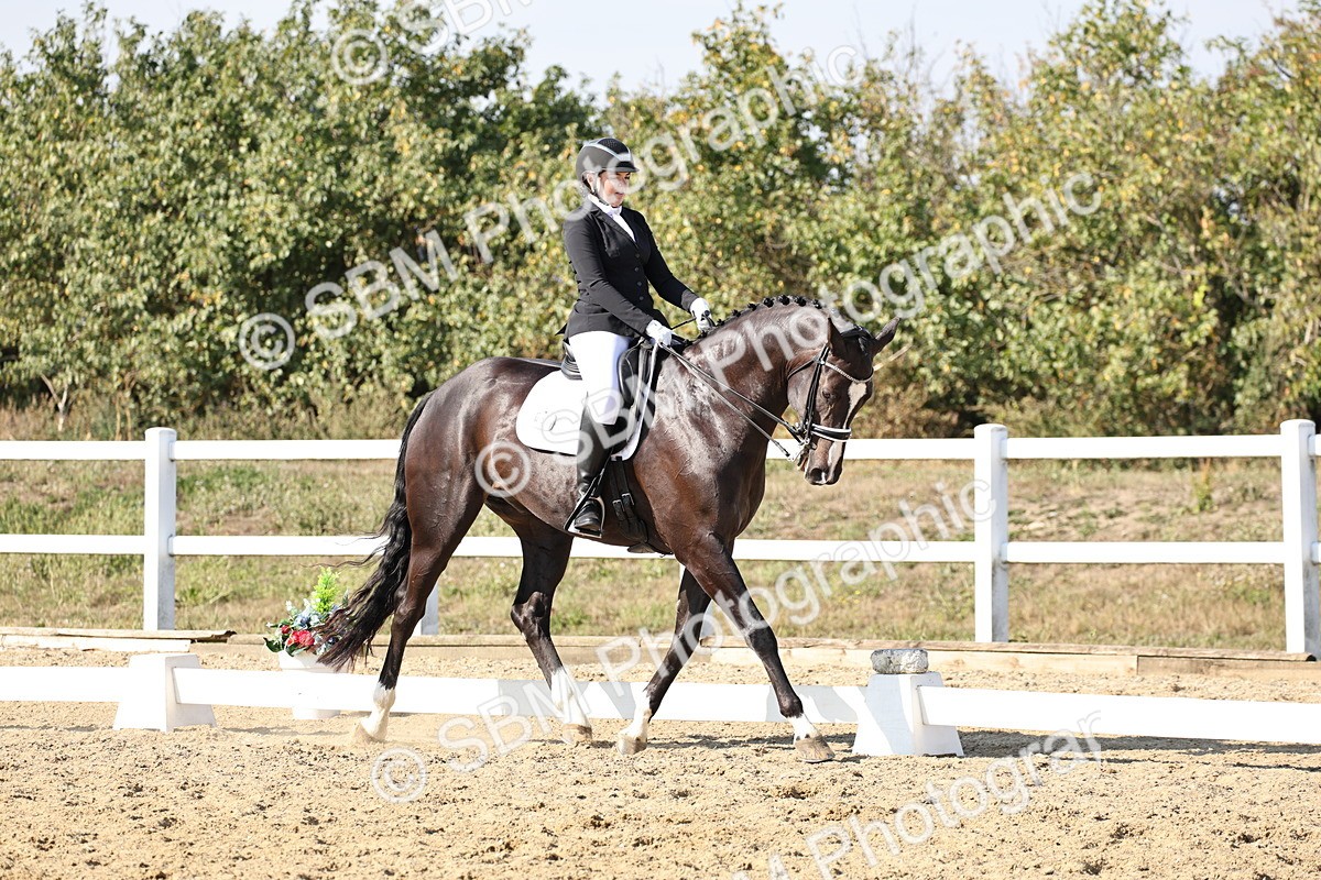 SBM_015340 - Class 9 - Advanced medium 3