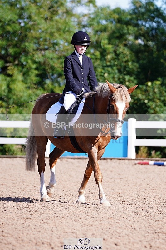 240809A-091150-00173 - Dressage Competition