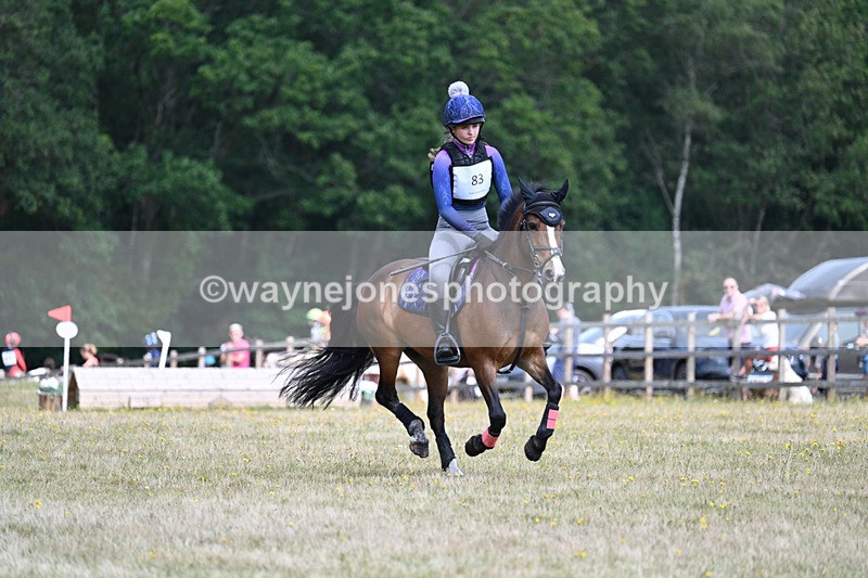 WJ7_1913 - 60cm Time 12:48 to 13:02