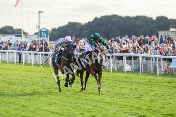 230923-Race 6-September Power-5434 - Race 6 4.55pm New To York Rio Brazilian Handicap