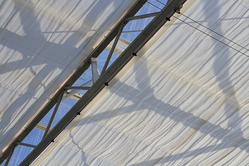 IMG_4600 - Manmade lines
