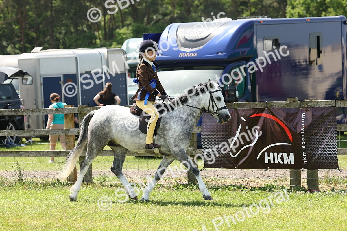 SBM_05372 - Class 24-25 - Mountain & Moorland In Hand Lead Rein and First Ridden