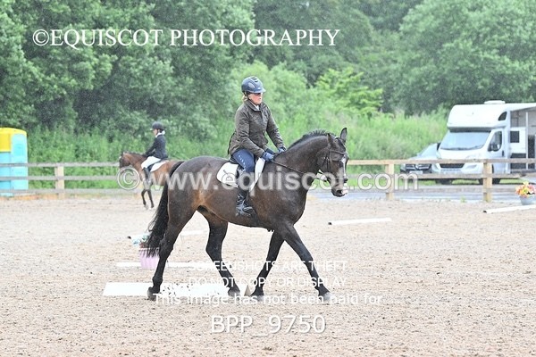BPP_9750 - NO COMPETITOR NUMBER X 2