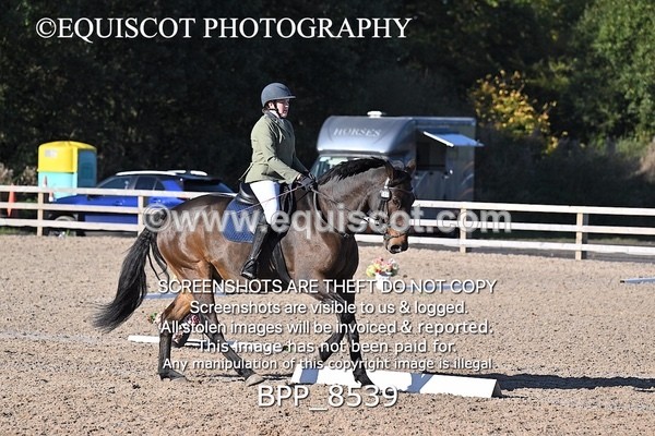 BPP_8539 - LONG ARENA