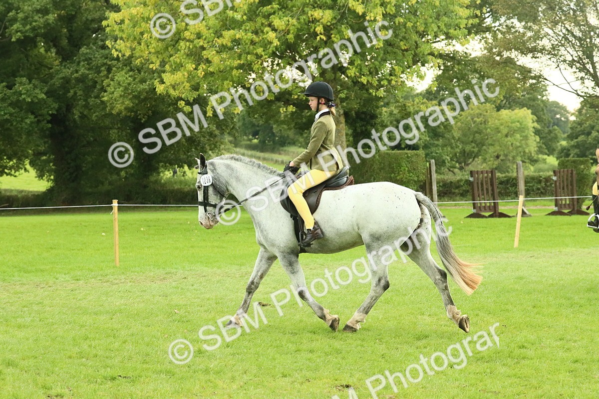 SBM_74043 - S 61 - Show Pony & Show Hunter Pony Ridden
