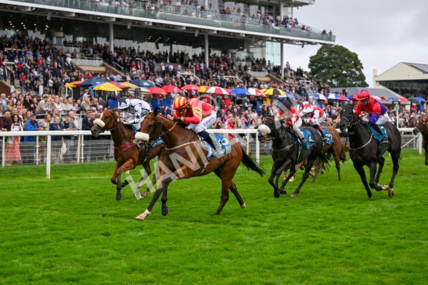 080924-Race 6-Northern Spirit-9479 - Race 6 4.35pm Hanson Springs Handicap