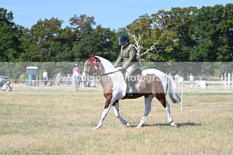 WJ7_3270 - Class 8 Ridden Tack & Turnout