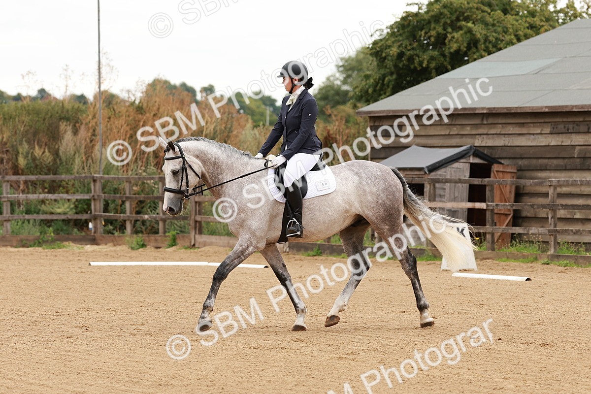 SBM_001065 - Intro 2