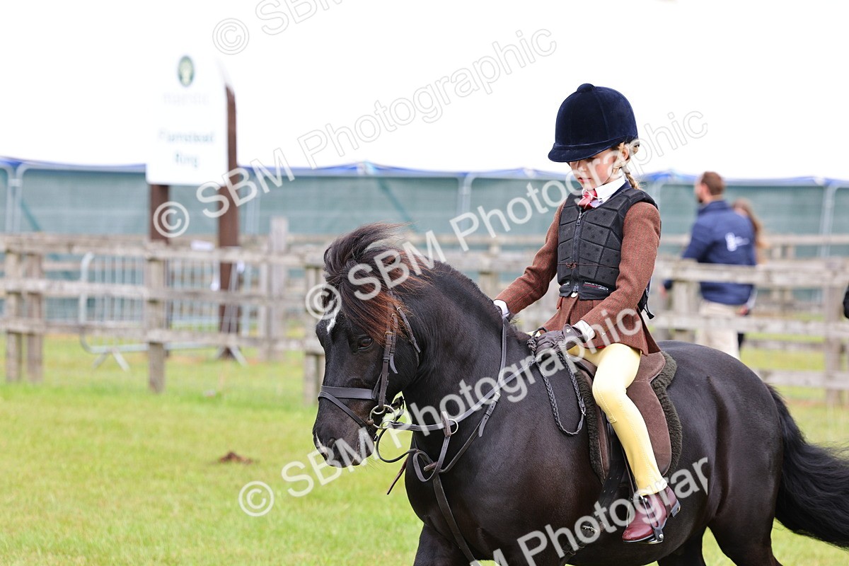 SBM_08665 - Class 42-43 - LIHS BSPS Heritage Working Sports Pony