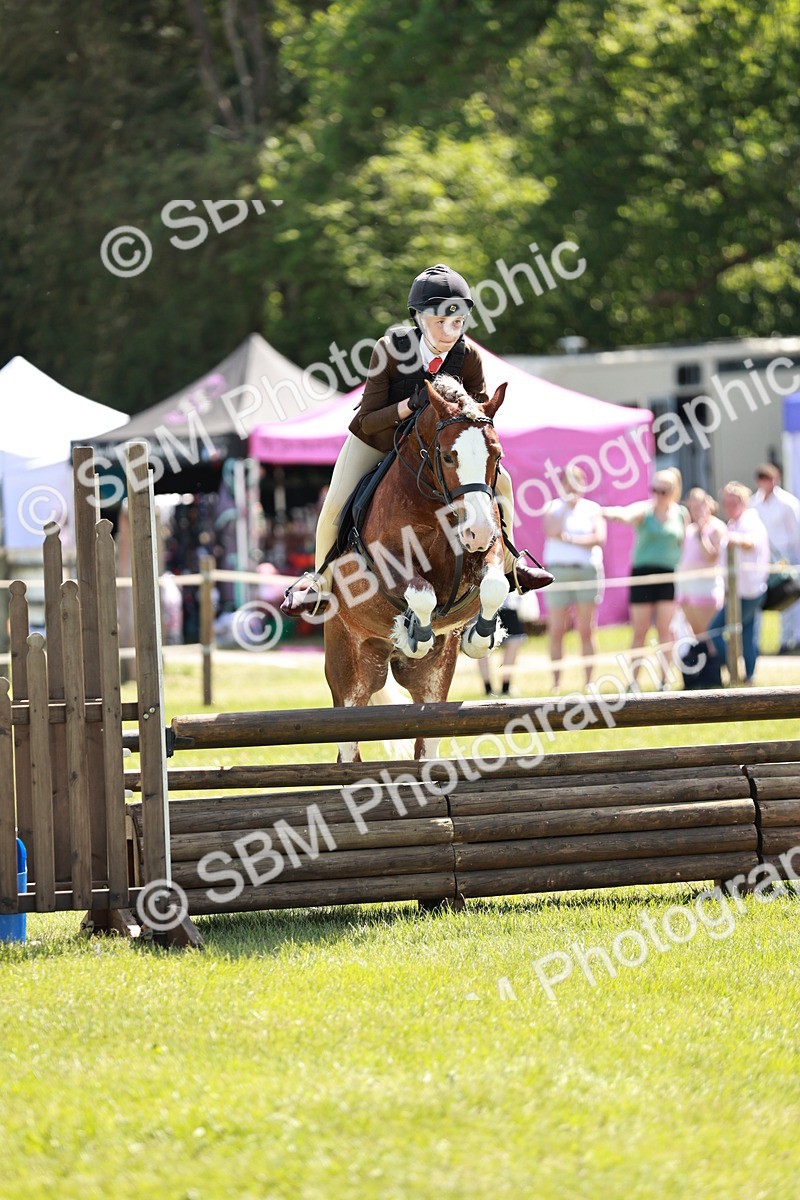 SBM_17620 - Class 112-113 - BSPS LIHS Working Sports Pony