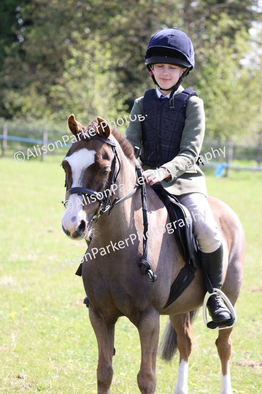20250427-3273 - Class 33 - Best Pony 14.2hh and Under