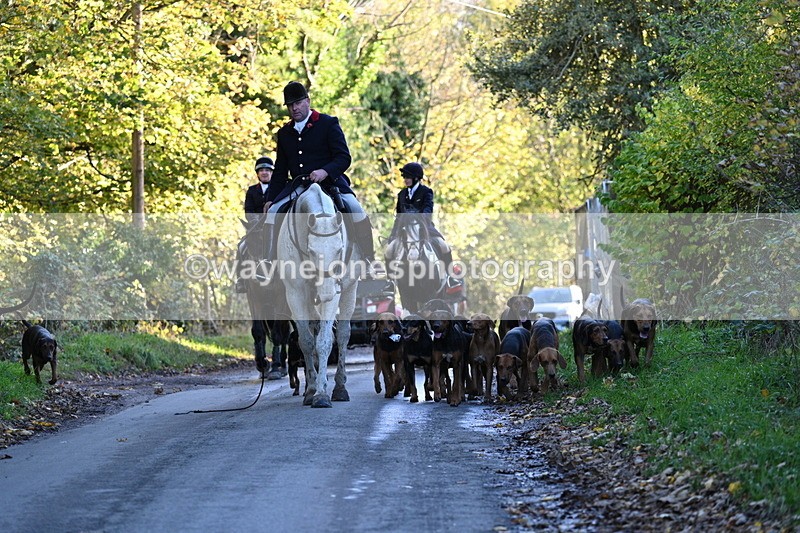 WJ7_8637 - Walk Home