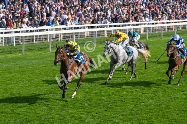 220825-Race 5-Cape Flora-7668 - Race 5 4.10pm Assured Data Protection EBF Fillies' Handicap