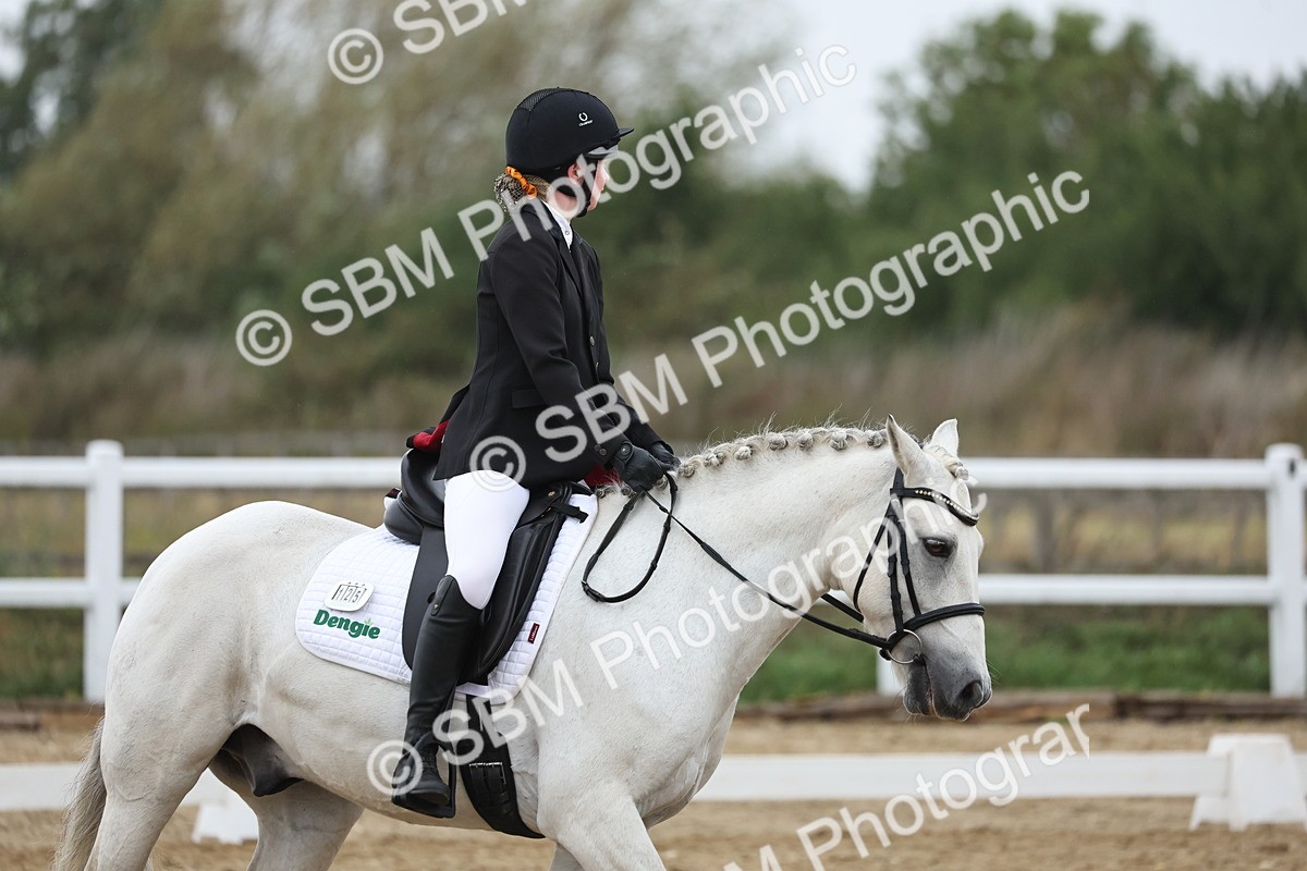 SBM_004346 - Class 8 - Novice 3 Champs
