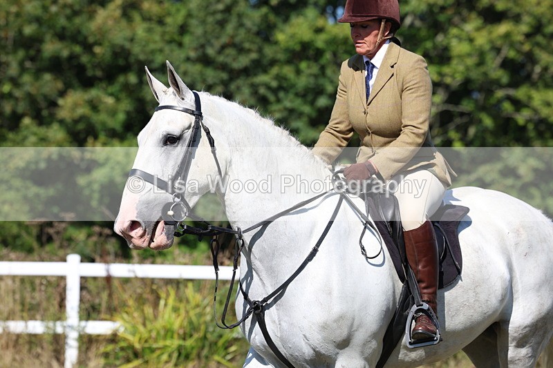 3E7A5867 - Class 5: Working Hunter 90cm