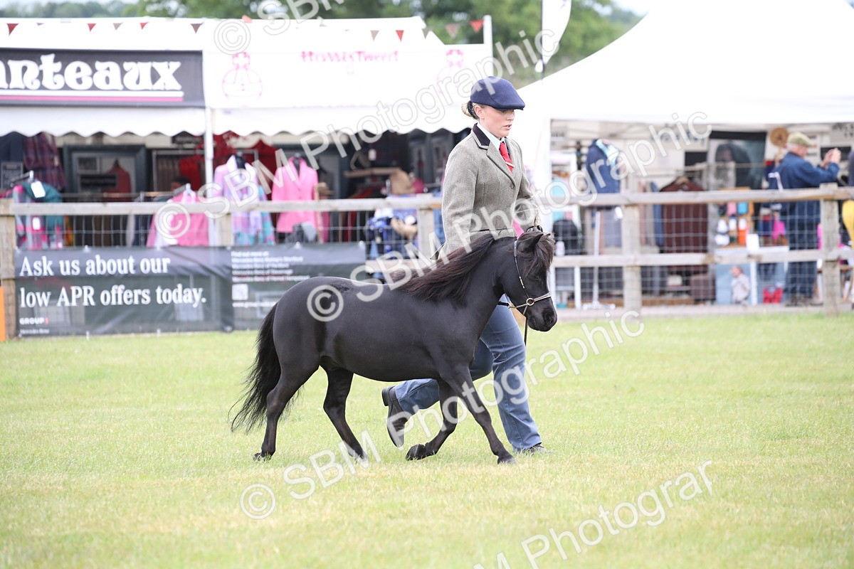 SBM_03961 - Class 23-25 - British Miniature Horse of the Year