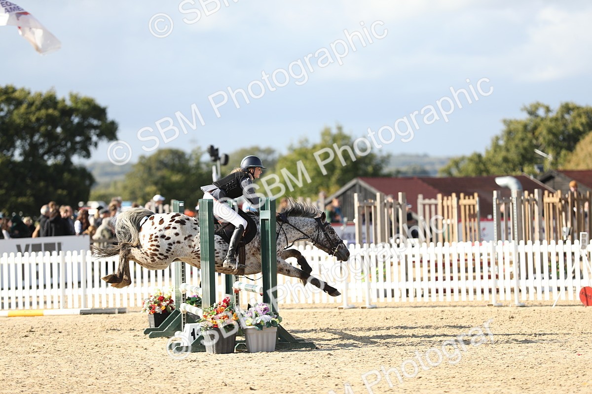 SBM_49633 - J22 - Junior Horse 65cm Championship