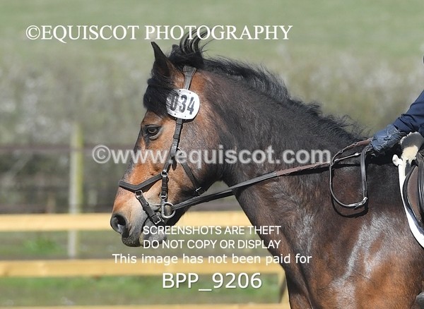 BPP_9206 - MY QUEST U21 INTRO 1 & 2