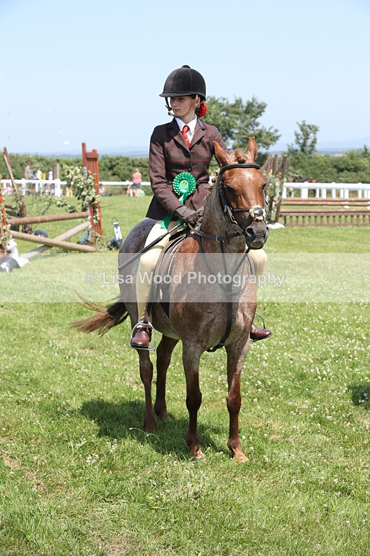 JPP_2953 - Class 21: Working Hunter 60cm