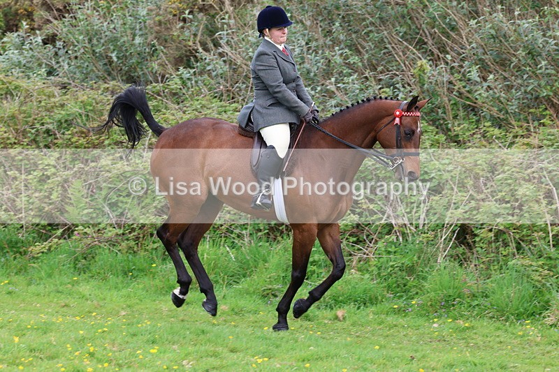 3E7A1738 - Class 9: Riding Club Horse/Pony