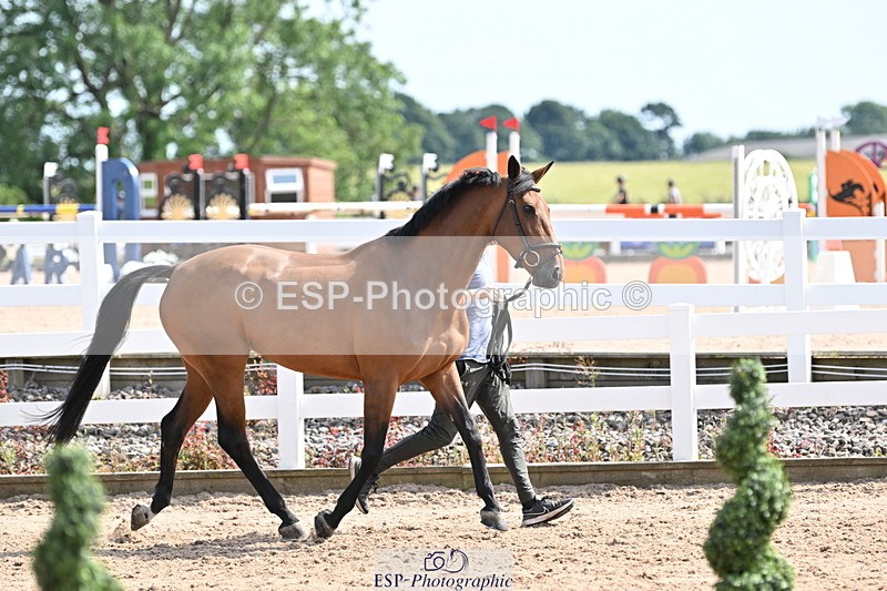 240717A-155819-03235 - Trot Up 3pm to 4pm