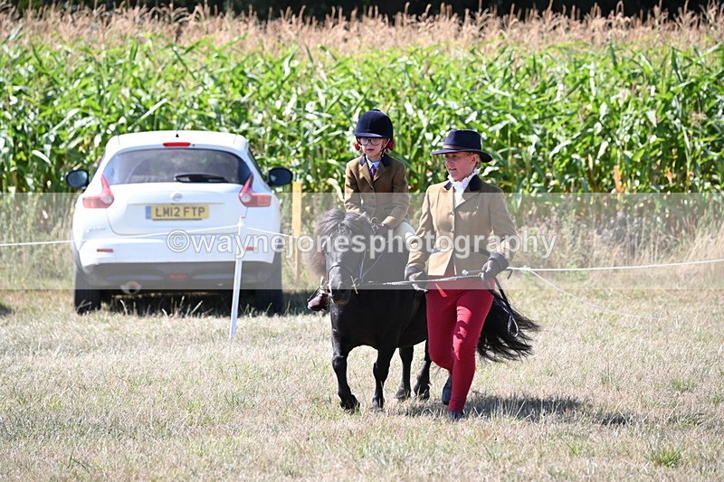 WJ6_8097 - Class 36 Lead Rein