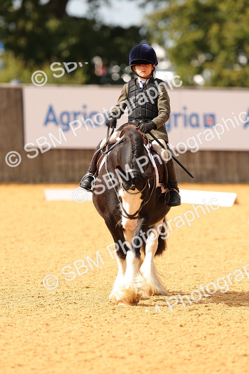 SBM_48231 - D22 - Junior Championship - Intro B