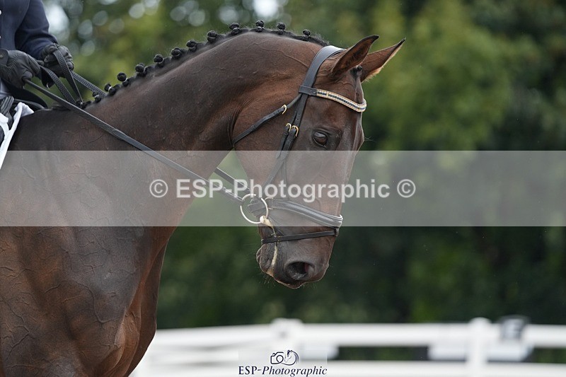 250907-124752-07423 - 097-Jude.FarrLoch.Arthur