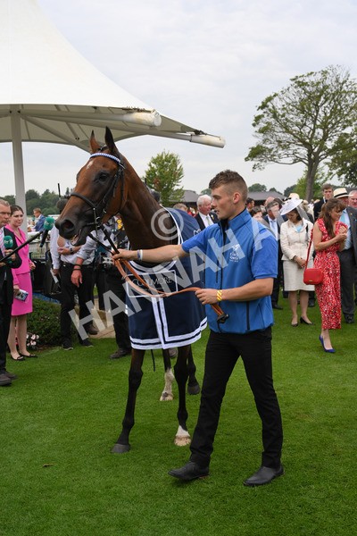yr20082021r4-136 - Race 4 3.35pm Coolmore Wootton Bassett Nunthorpe Stakes (British Champions Series Race)