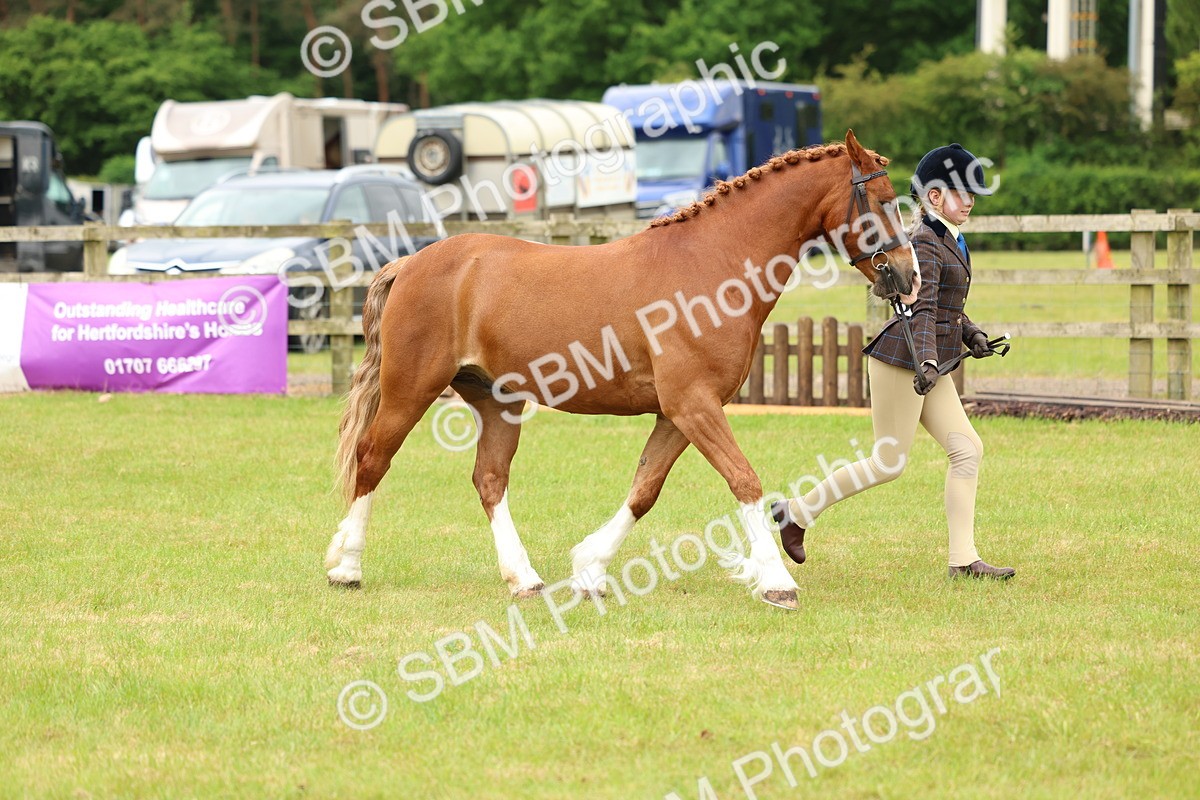 SBM_10369 - Class 44-45 - LIHS BSPS Open Nursery and Cradle Stakes
