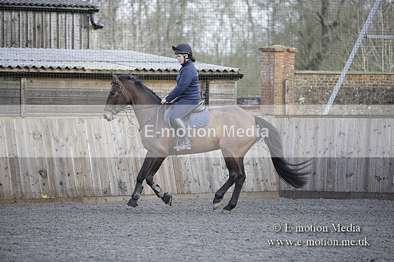 BVRC 050320 0003 - Bourne Valley riding Club Show Jumping Tidworth 08/03/20