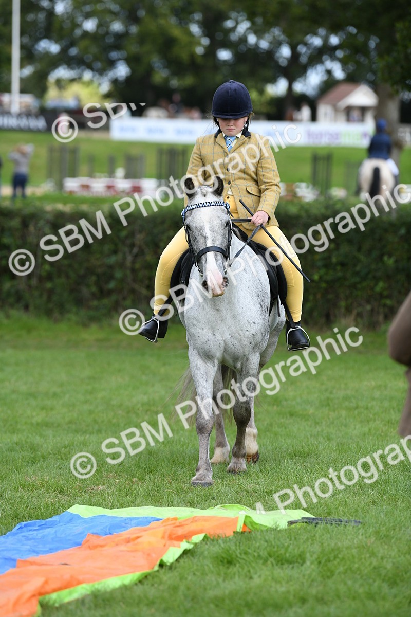 SBM_47176 - S12 - Family Horse & Pony