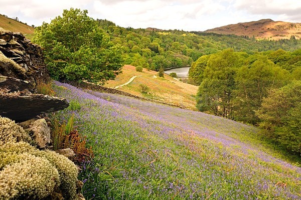 lll0121 - South Lakes