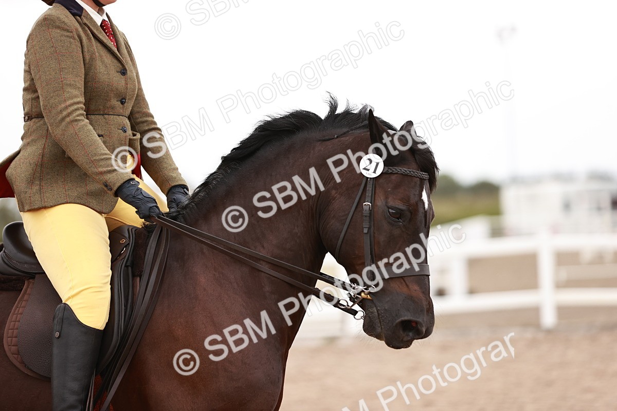 SBM_19054 - Class 422 - Ridden M&M