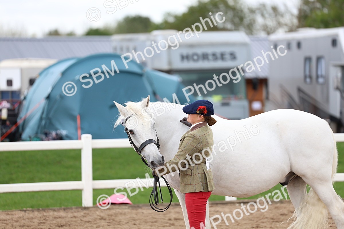 SBM_05113 - Class 27 - IH Competition Horse or Pony