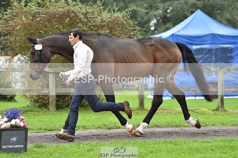 231018-125028-00560 - 071-BALLYVOGUE.OLYMPIC.VIEW-Duncan.Morgan-TrotUp