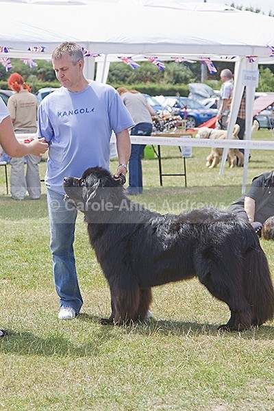  - Spirit of the Dog Funday July 2010