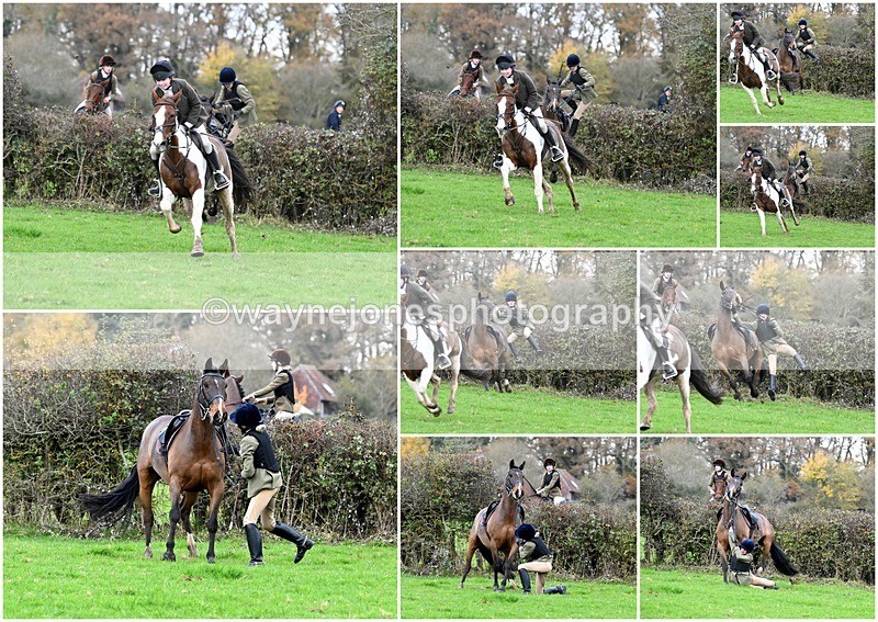 BB Pangfield Farm 1711241 - Edited examples