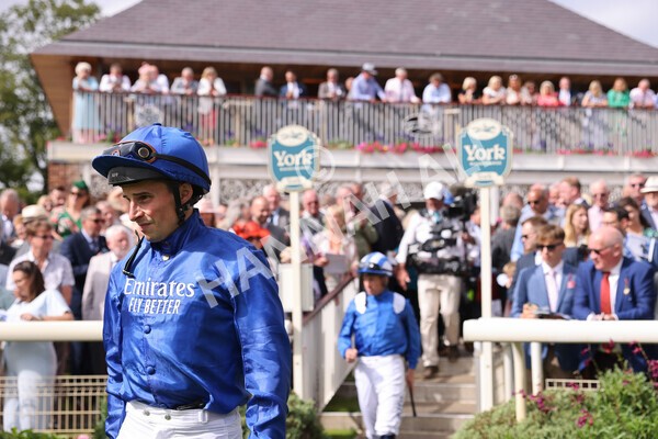 yr17082022r4-19 - Race 4 3.35pm Juddmonte International Stakes (British Champions Series Race)