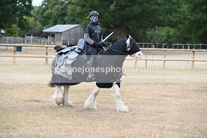 WJ6_8862 - Class 11 Fancy Dress