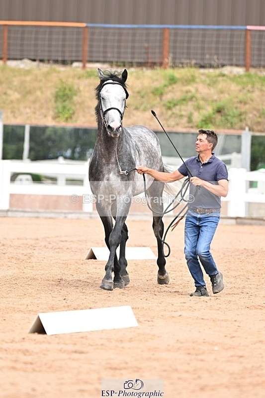 250716-153821-02073 - Trot Up 3.30 to 4.30